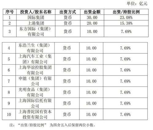 上海新設國企聚焦信息咨詢服務，打造數字化轉型新引擎
